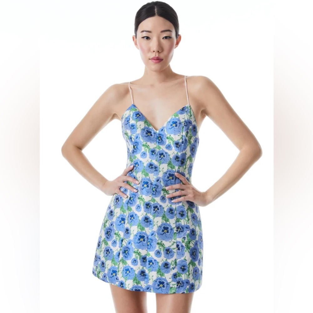 Tayla Lantern Mini Dress- NWT Alice and Olivia